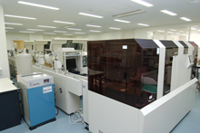 生化学検査