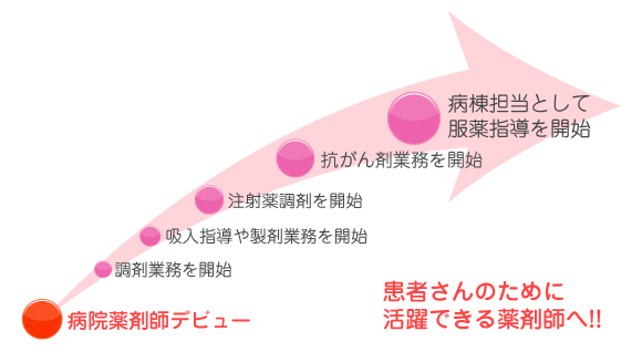新任薬剤師 就職後のながれ