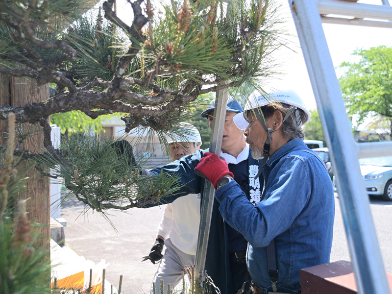 松のせん定講習会